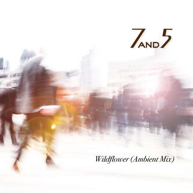 7AND5《Wildflower (Ambient Mix)》[CD级无损/44.1kHz/16bit]