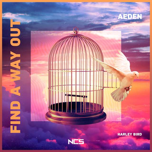Aeden《Find a Way Out》[CD级无损/44.1kHz/16bit]