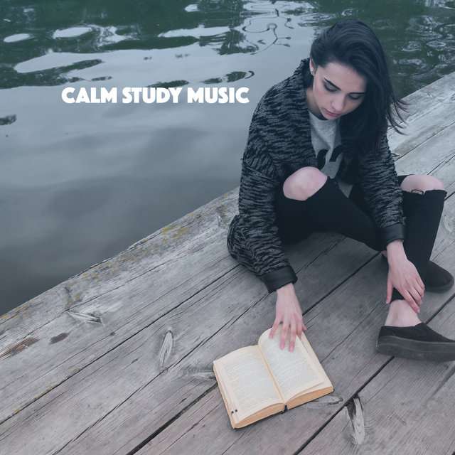 V.A《Calm Study Music》[CD级无损/44.1kHz/16bit]