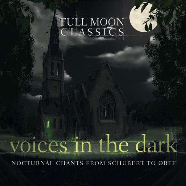 V.A《Voices in the Dark》[CD级无损/44.1kHz/16bit]