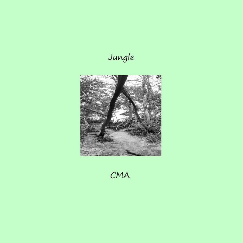 cmabr《jungle》brcd级无损44.1khz16bit