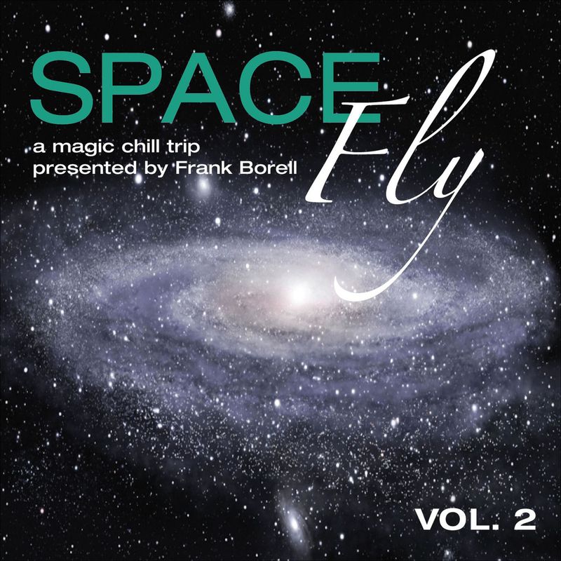 manifold records《space fly vol. 2：a magic chill trip presented