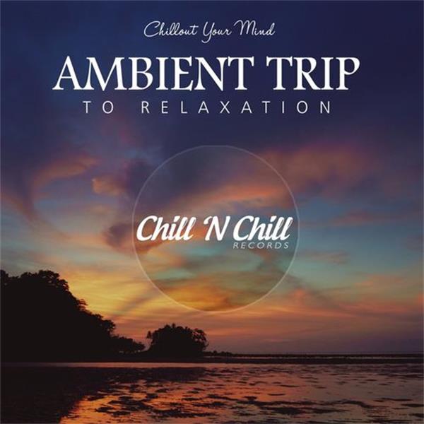 chill n chill records《ambient trip to relaxation：chillout your
