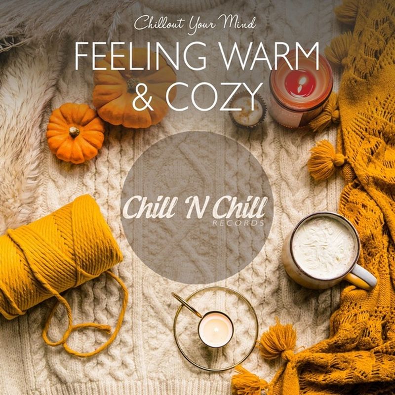 chill n chill records《feeling warm cozy：chillout your mind》c