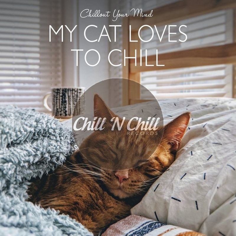 chill n chill records《my cat loves to chill：chillout your mind》