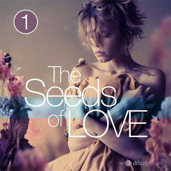 drizzly music《the seeds of love vol.1》cd级无损44.1khz16bit