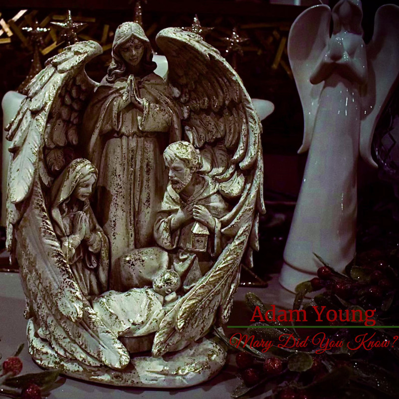adam young《mary did you know》cd级无损44.1khz16bit