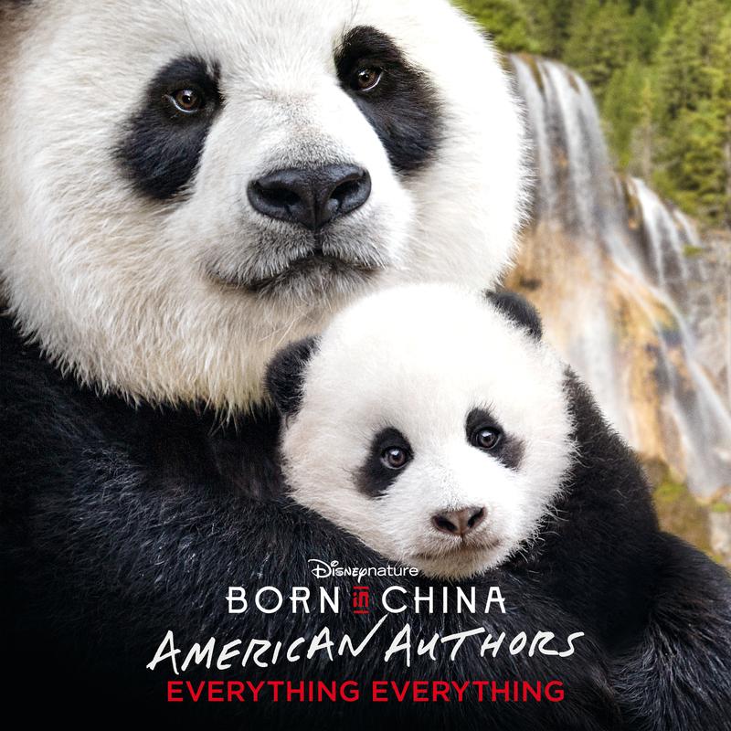 american authors《everything everything from born in china》cd级无损44.1khz16bit