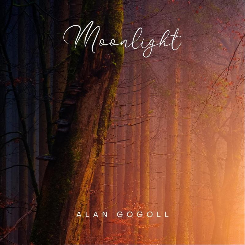 alan gogoll《moonlight》cd级无损44.1khz16bit