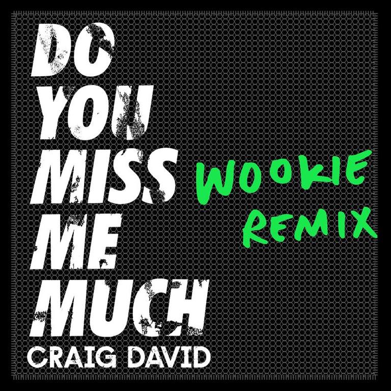 craig david《do you miss me much wookie remix》cd级无损44.1khz16bit
