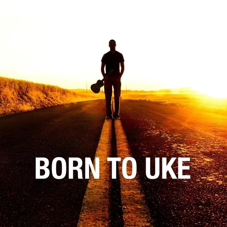 the weepies《backstreets from born to uke》cd级无损44.1khz16bit