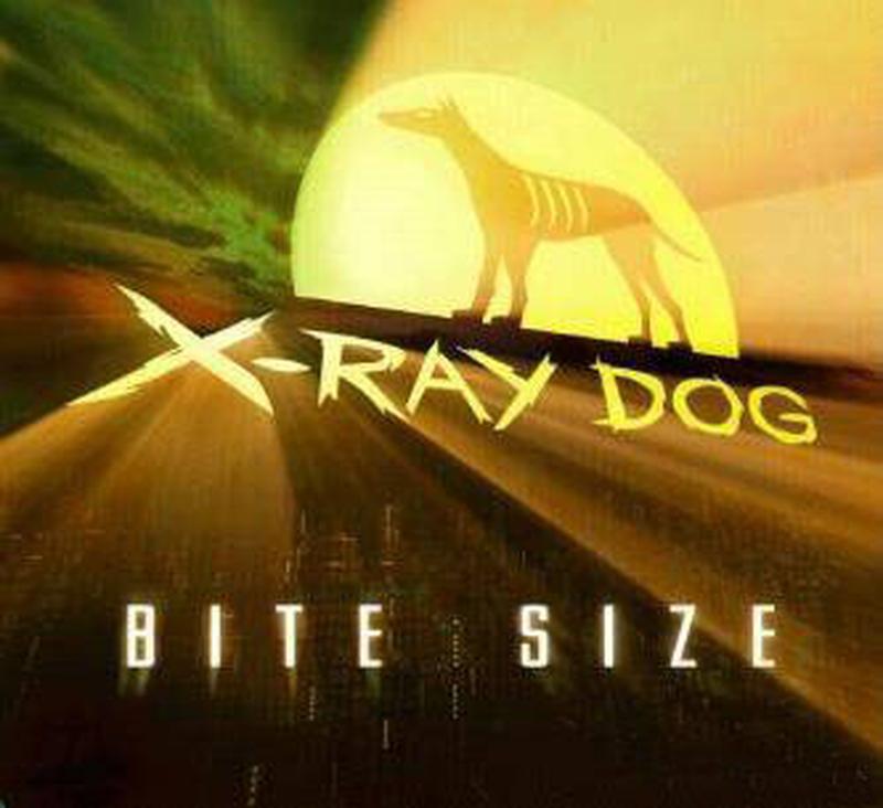 x ray dog《bite size》hi res级无损48khz16bit